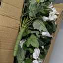 HyeFlora Artificial Flowers for Outdoors 2PCS Faux Petunias Silk Fake Flowers for Outside Planter UV Resistant Realistic Home Garden Porch Decor (White)