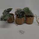 3 Pack Artificial Hanging Plants in Boho Handwoven Baskets for Living Room, Bedroom, Bathroom Wall Shelf Decor