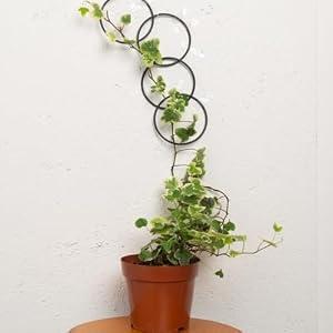 17PCS Metal Trellis for Climbing Plants Indoor/ Outdoor - Pothos Plant Climber Support, Wall Trellis, Vine Plant Support, Garden Lattice for Climbing Plants - Small Indoor Hanging Trellis