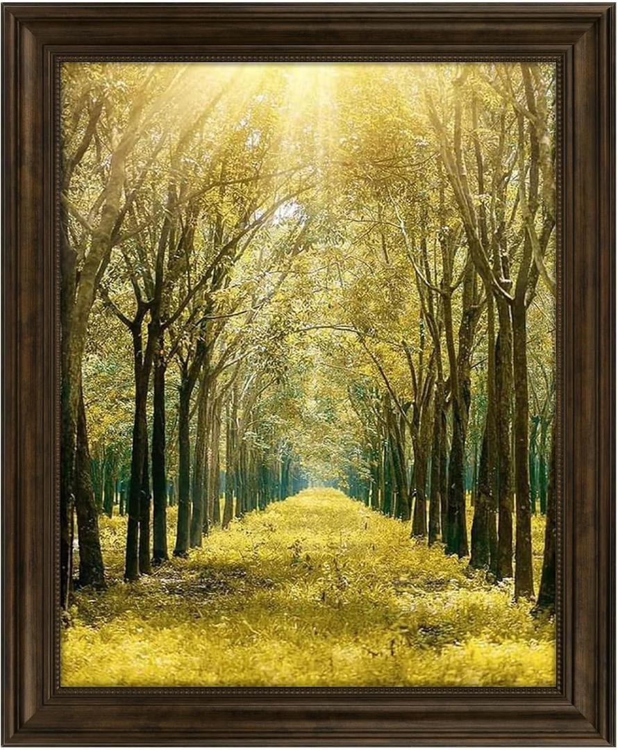 Space Art Deco, 16x20 Ornate Picture Frame Without Mat for 16x20 Photo,Shatter-Resistant Glass Sawtooth Hangers Wall Mount Display(Color Brown)