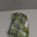 2 Pack Artificial Eucalyptus Garland Faux Silk Leaf Silver Dollar Eucalyptus Leaves Vines Handmade Garland Greenery Wedding Backdrop Indoor Outdoor Arch Wall Decoration