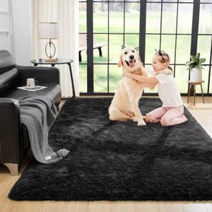 Noahas Fluffy Bedroom Rug,3x5 Feet Plush Fuzzy Black Area Rugs for Living Room, Non Slip Thick Soft Shaggy Nursery Furry Floor Dorm Kids Carpet