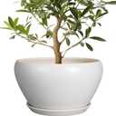 Planter for Indoor Plants 13 Inch - Ceramic Plant Pot with Drainage Hole and Saucer Decorative Round Large Planter Pot for Plants Outdoor Flower Pot for Room Decor White