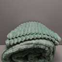 EXQ Home Fluffy Comforter Set Queen Size Super Soft Faux Fur Stripe Jacquard Comforter 3 Pieces, Sage Green Fleece Bedding Set, Winter Warm Bed Set, 1 Comforter with 2 Pillowcases