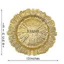 Henilosson 13 inch Gold Charger Plates,Round Plastic Reef Plate Chargers for Dinner Plates,Wedding,Party Elegant Decoration Place mats (24, GOLD) (Reef Gold)