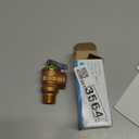 Wilkins 3/ 4" MNPT x FNPT Pressure Reducing Valve P1000AXL-125C