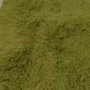 Merelax Modern Soft Fluffy Shaggy Rug for Bedroom Livingroom Small Chair Decor Rugs Feet Floor mats , Non-Slip Plush Furry Fur Area Rugs Comfy Nursery Accent Floor Carpet 2 X 3 Feet, Green