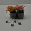 2 Packs Cute Fake Plants, Kawaii Artificial Potted Plants for Table Desk Home Bedroom Bathroom Office Shelf Office Wall Room Farmhouse Decor Artificial Plants B2 (Yin-pan-b2)