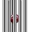 Memorial Wind Chimes Outdoor Large Deep Tone, Sympathy Wind-Chime Personalized with 6 Tuned Tubes, Elegant Chime for Garden Patio Balcony and Home