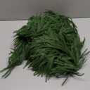 2PSC 9ft Artificial Christmas Garland with Lights, Real Touch Norfolk Pine Garland Green Christmas Garland for Mantle, Table, Fireplace, Indoor, Outdoor Christmas Decorations