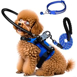 Blind Dog Halo Harness,Protective Halo Dog Collar with 5 FT Leash & Reflective Collar,Confidence Building Harness Guiding Device,Blind Dogs Accessories (S:Recommand Weight 9-22 lbs)