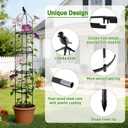 2 x 6ft Garden Obelisk Trellis for Climbing Plants-Rustproof Metal Pipe with Heavy Duty Plastic Coated, Garden Outdoor Indoor Potted Plant Support for Clematis Vine Jasmine Support Black, 1 PACK
