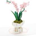 Hallmark Signature Paper Wonder Mother's Day Pop Up Card (Orchid) for Spring, Birthday, Thinking of You, Congrats, or Any Occasion