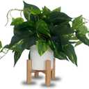 A Beautiful Fake Plant, with Plastic Pot, These Fake Plants Come with Wooden Base, Artificial Indoor Plants, Plant Decoration, Artificial Indoor Plants in Pots