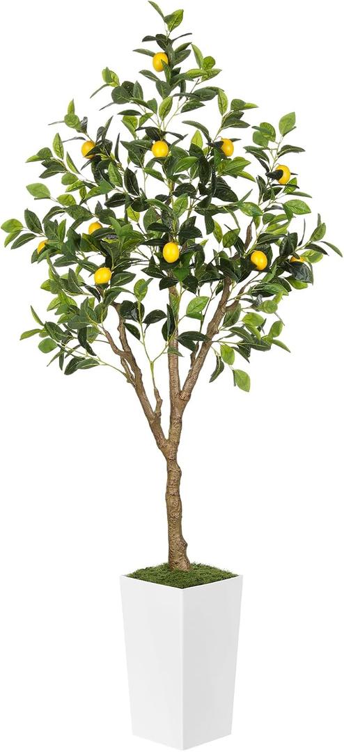 6FT Artificial Lemon Tree with Pot, Fake Lemon Tree with White Tall Planter, Faux Lemon Plant with Realistic Fruits and Silk Leaves, Artificial Plants Indoor for Home Office Kitchen Decor