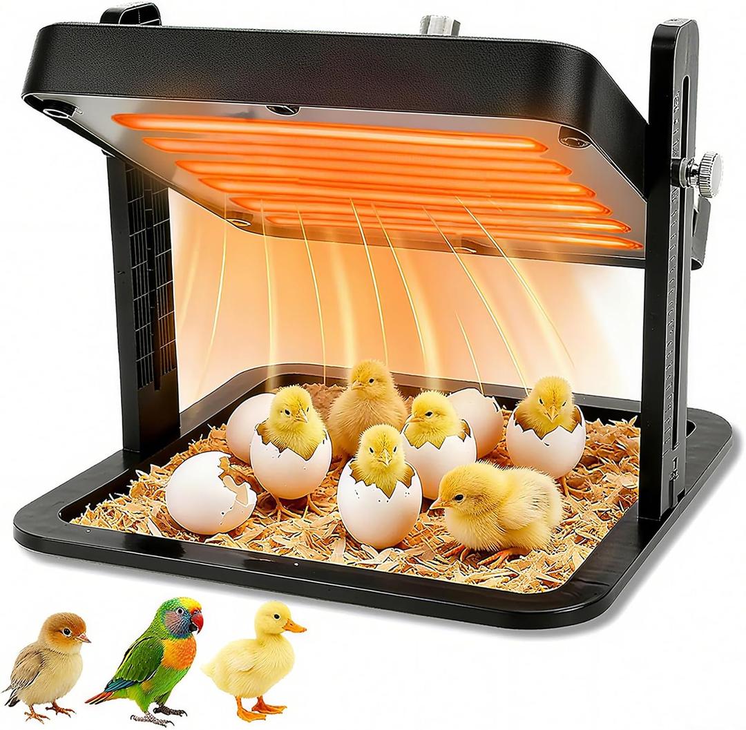 Brooder Heater for Chicks 10.8" Radiant Heat Plate with Adjustable Height & Angle, Thermostat Control (113158 ), Safe & Even Warmth for up to 15 Baby Chicks