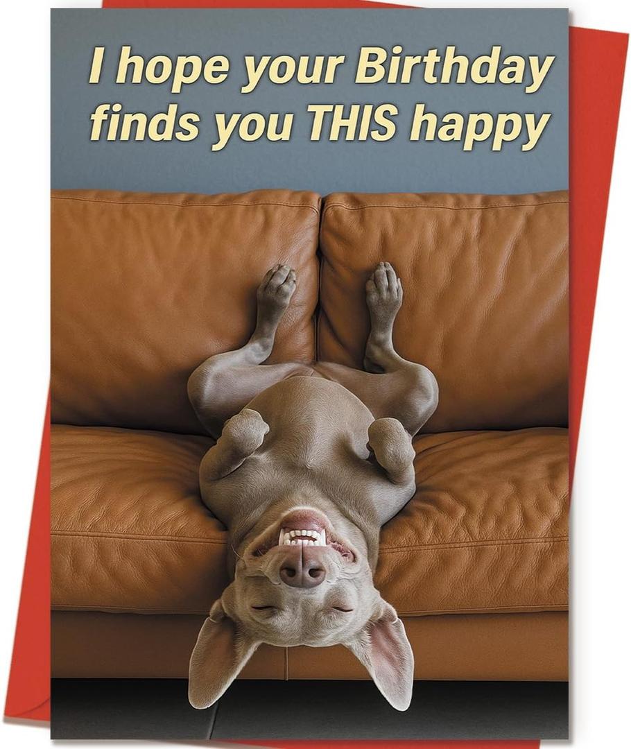 8 x ICOOLYI Funny Birthday Card and Gift for Men or Women – Hilarious and Lighthearted Decorative Design – Perfect for Friends, Family, Coworkers, Him or Her