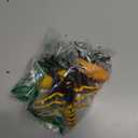 Bbiamsleep 4 Pcs Bee Figurine Set Realistic Bee Figure Honeybee Figurines Bees Model Various Bees Model Fake Bees Animal Figures Insect Toy for Science Project Cake Topper