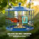 Birdream Squirrel Proof Bird Feeders for Outdoor Hanging, Metal Cage Bird Feeder with Rain Proof Covered for Wildbirds Bluebird Finches, Blue