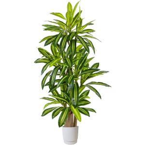 Warmplants Artificial Dracaena Tree 6ft, Fake Yucca Plant with White Planter and Lifelike Leaves, Faux Dracaena Tall Floor Trees for Home Office Garden Décor
