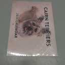 Cairn Terrier Calendar 2026 Wall 12 Month Monthly Cairn Terriers Gifts For Cairn Terrier Lovers Women Men Mom Dad | American Made In The USA
