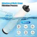FRC06 Filter Cartridge, FRC06 Filter Replacement for Franke Water Filter, Filters Compatible with Franke FRCNSTR/FRC06 and FRCNSTR100/FRC06FRC06 Filters (2 PACK