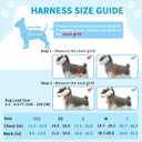 Lukovee No Pull Dog Harness and Leash Set, Soft Padded Small Dog Harness, Neck & Chest Adjustable Reflective Vest Puppy Harness with 4ft Lightweight Anti-Twist Dog Leash for Small Dogs (Blue, M)