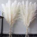 46" inch 10 Stems Cream Pampas Grass Decor Tall, Dry Flowers for Floor Vases Decor, Natural Dried Flowers for Wedding, Natural Home Decor, Wall Grass, Glam Decor