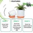 GreenShip 11.8″ Self-Watering Cylinder Planter Pot with Saucer & Plugged Drainage Hole – Dual Use: Self-Watering or Traditional Pot – Thick Yet Lightweight Clay & Resin Blend, Durable & Unbreakable