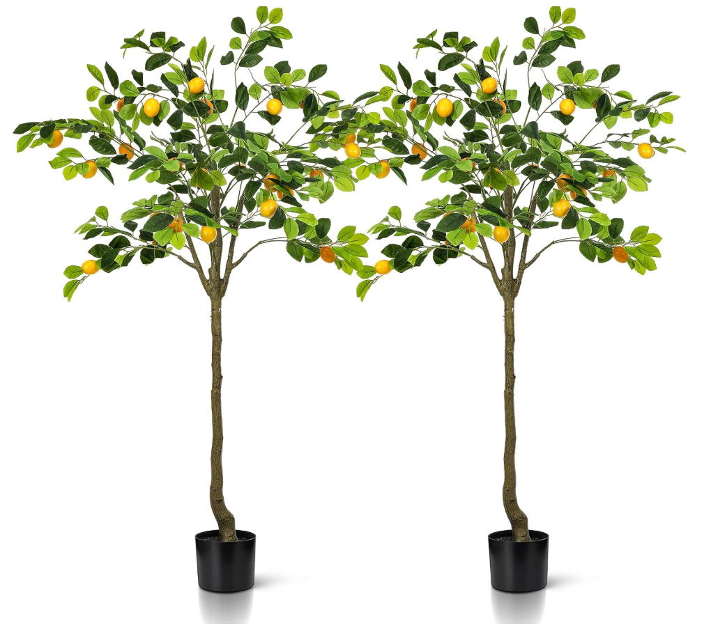 Jexine 2 Pack Artificial Lemon Tree 5 ft Tall Fake Plant Pre Potted Faux Lemon Tree Realistic Fruits for Indoor Home Decor Office Living Room