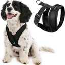 Gooby Comfort X Head In Harness - Black, Medium - No Pull Small Dog Harness Patented Choke-Free X Frame - Perfect on the Go Dog Harness for Medium Dogs No Pull or Small Dogs for Indoor and Outdoor Use (Medium Chest (14.25-18.75"))