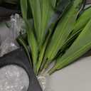 Artificial Dracaena Tree 5FT - Fake Tree with Black Tall Planter - Faux Yucca Tall Fake Floor Plant in Pot - Artificial Plant for Home Office Living Room Decor Indoor