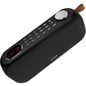 Portable Bluetooth Speaker FM Radio Digital, Support USB/SD Card MP3 Music Player/AUX/REC, Build-in 3000mAh Rechargeable Battery, 10W Powerful Speaker and Earphone Jack for Indoor Outdoor (Black)