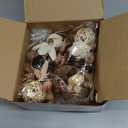 Nuanchu 2 Pack Decorative Balls Potpourri Bowl Filler Decor Natural Vase Bowl Filler Assorted Spherical Rattan Twigs Wicker Balls for Home Decor Centerpiece, No Scent(Beige Series,Classic Style)