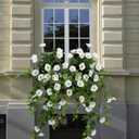 Artificial Flowers Faux Outdoor Plants Artificial Petunias for Outdoors Uv Resistant Fake Petunias Plants Hanging Flower Patio Decor Outside Basket Realistic Silk Plant No Pot(White 2pcs)