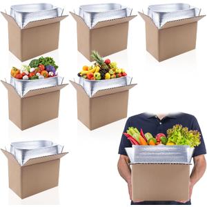 6 Pack Insulated Shipping Boxes with Aluminum Foil Insulated Bagfor Shipping Frozen Food Cold Shipping Boxes Large Foil Cooler Carton Moving Kits for Mailing Packing (with Insulated Bag)