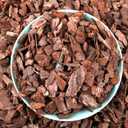 AVALUTION Orchid Potting Bark-9QT Organic Orchid Bark for Plants, All Natural Pine Bark Wood Chips for Houseplant Mulch, Orchid Plants Root Development, Mulch for Potted Plants (Large)