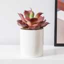 Duovlo Artificial Succulent Plant 7.08 Inch Faux Succulents Agave potatorum Flower Arrangement Craft Wall DIY Materials Pack of 2 (Dark Purple)