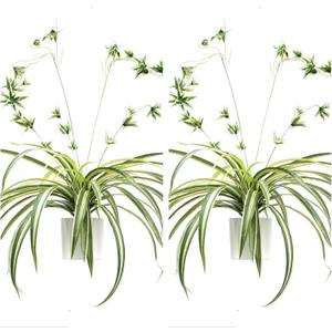 2Pcs Artificial Hanging Plants, Faux Chlorophytum Comosum Hanging Plant with Pot, Artificial Spider for Outdoor Indoor Home Garden