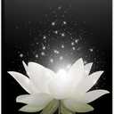 Lotus Flower Canvas Prints Wall Art Floral Blossom Pictures for Modern Wall Decor Artwork Spirtual Meditation Prints on canvas Wall Decor for Yoga Room Framed (16x24inch)