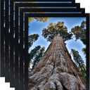 8x12 Picture Frame Black Photo Frames Display for Wall and Tabletop, Set of 6