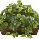 Nearly Natural Pothos with Ledge Basket, Green,34x18x15