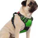 rabbitgoo Dog Harness Small Sized, No Pull Dog Vest with 3 Buckles, Adjustable Soft Padded Pet Harness with Easy Control Handle and Reflective Strips, Green, S