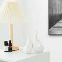 Ceramic Elephant Figurines with Trunk Up,Ring Holder,Elephant Statue African Home Decor,A Pair of Small Lucky Sculpture,Ideal for Gifts Women,Valentine Decor and Christmas (White)