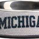 The Memory Company | Licensed NCAA Bling Team Logo Stainless Pet Bowl