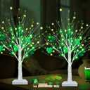 Prelit & Timer - St. Patrick's Day Decorations, 2 Pack 18 Inch St Patricks Day Tree Tabletop Lighted Birch Tree 24 LED Green Lights Shamrock Berries Battery Operated St. Patrick's Day Decor Home Party