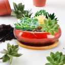 7.4 inch Ceramic Bonsai Pots with Trays Shallow Planters, Succulent Planters with Drainage Hole, Round Large Shallow Pots, Bonsai Pots Garden Decorative Cactus Stand Flower Container (Red)
