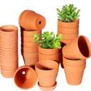 3 Inch Terracotta Pots with Saucer-20 Pack，Cactus Terra Cotta Flower Pot with Drainage，Succulent Nursery Clay Pots Great for Plants,DIY Crafts, Wedding Favor