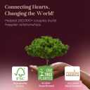 Life Sutra Couple Reconnect 3 in 1 Game - 200 Classsic Conversation Cards, 100 Scratch Off Date Adventures and Endless Date Nights Combinations with The Couples Dice Game. Ideal Valentine's Gift