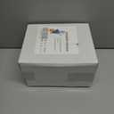 8 FT Polar Bear Hanukkah Inflatable Decoration with LED Lights for Holiday Celebration Decorations on Yard, Lawn and Patio